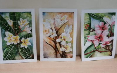 Frangipani in Watercolours